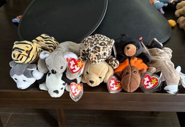 Beanie Babies