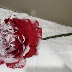 Large Flowers And Stems