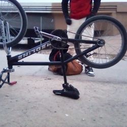 All Original 20 Inch Pro Line Redline