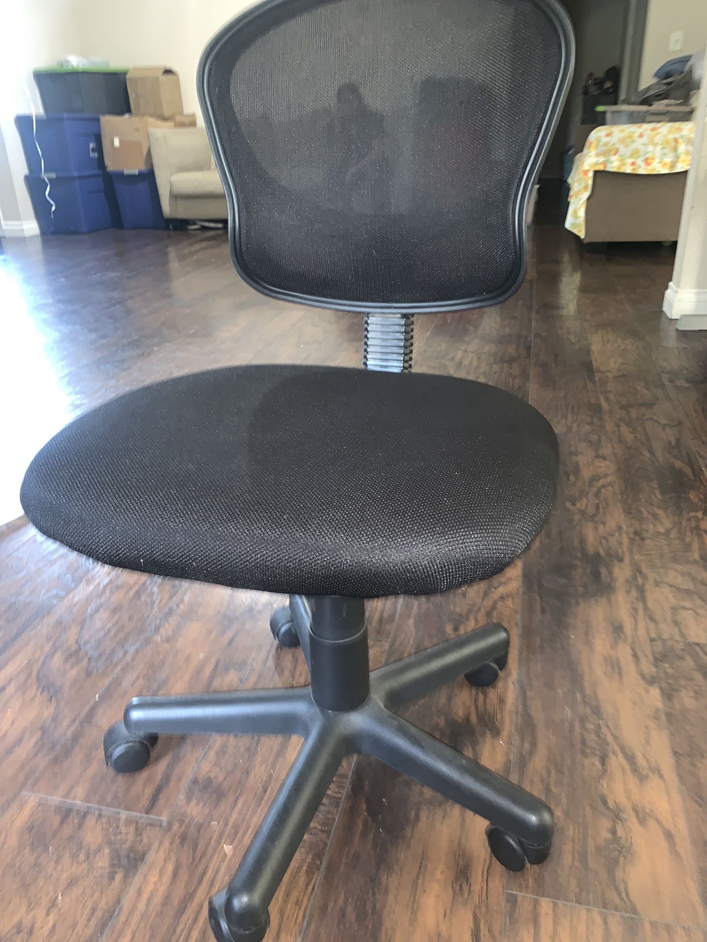 Office Chair/ School Chair