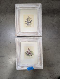 Set of two Rustic White-Winged Crossbill  and Woodchat Shrike Framed Print in Distressed Wood