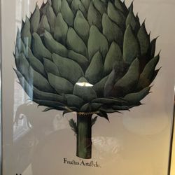 Artichoke illustration Picture