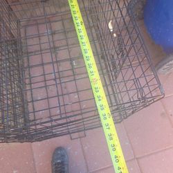 Medium Cage (Jaula Para Entrenar )