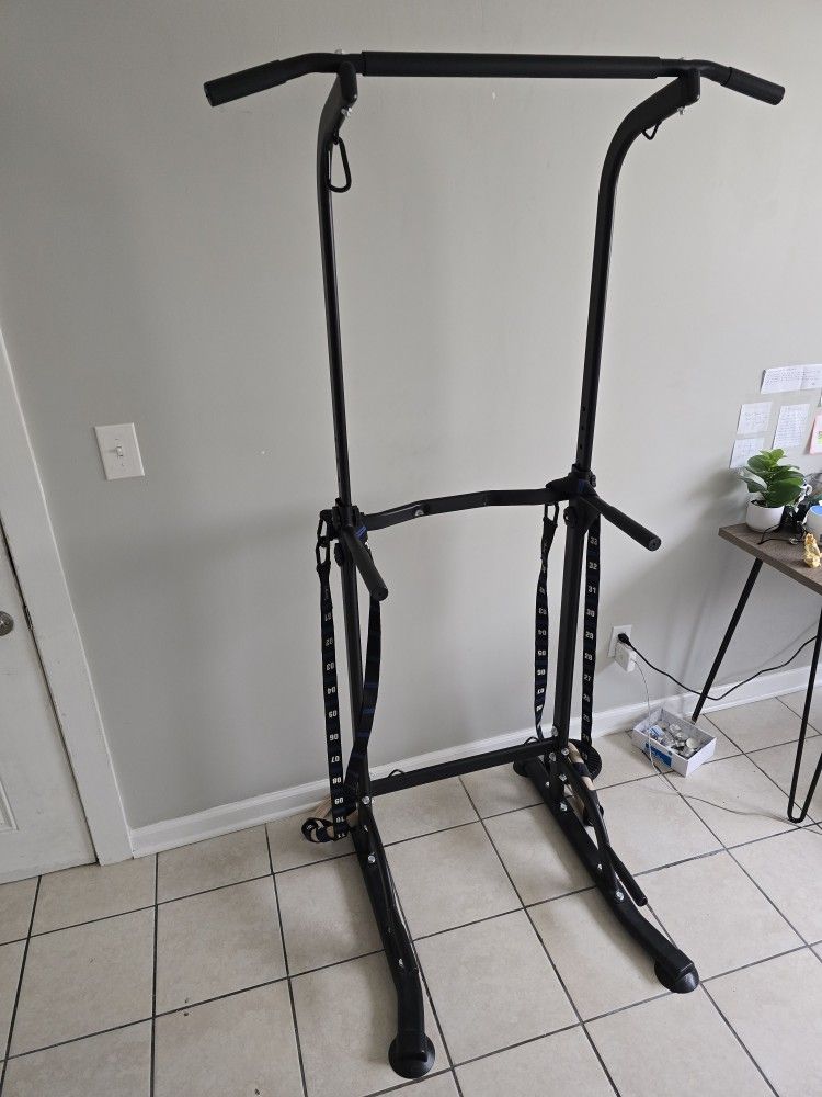 Indoor Pull Up/dip Bar