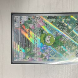 Pokémon Black Bolt Petilil 091/086