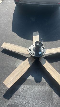Indoor ceiling fan