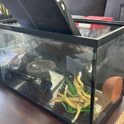 10 Gallon Aquarium