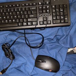 Keyboard and mouse