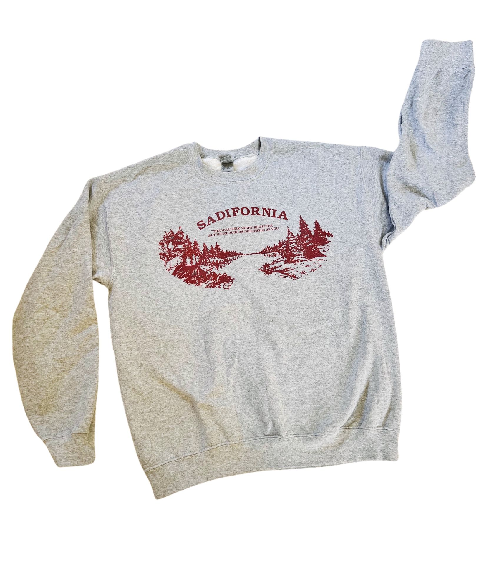 Sadifornia Gray Sweatshirt | Medium