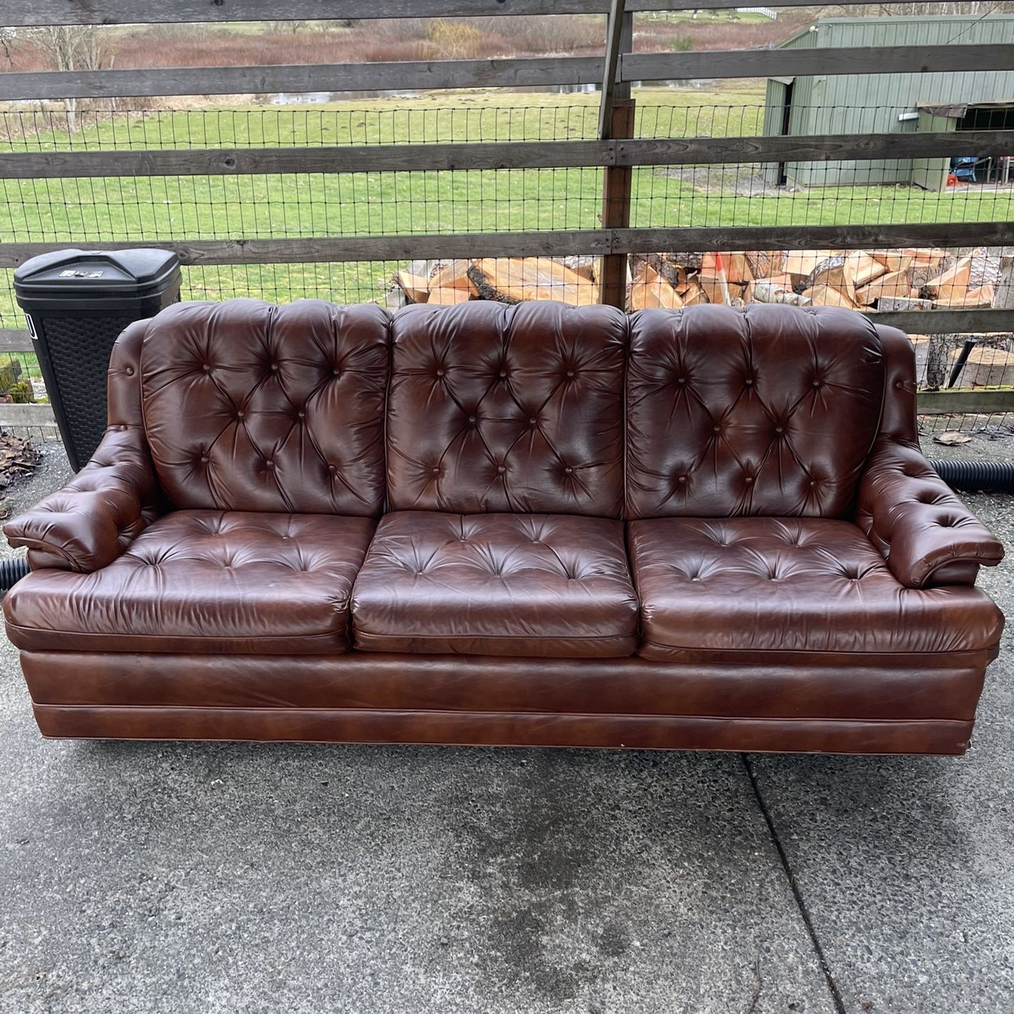 Faux Leather Sleeper Sofa Queen Matttroy