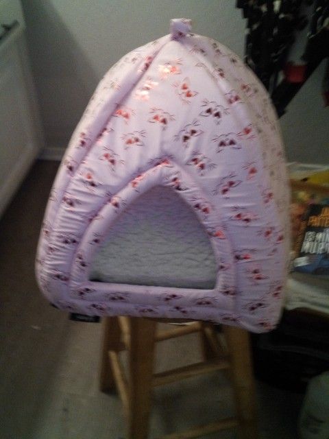 Cat Or Very Small Dog House