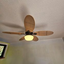 Ceiling Fan