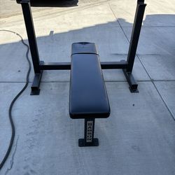 Olympic  Bench Press
