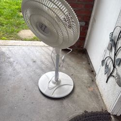 Fan