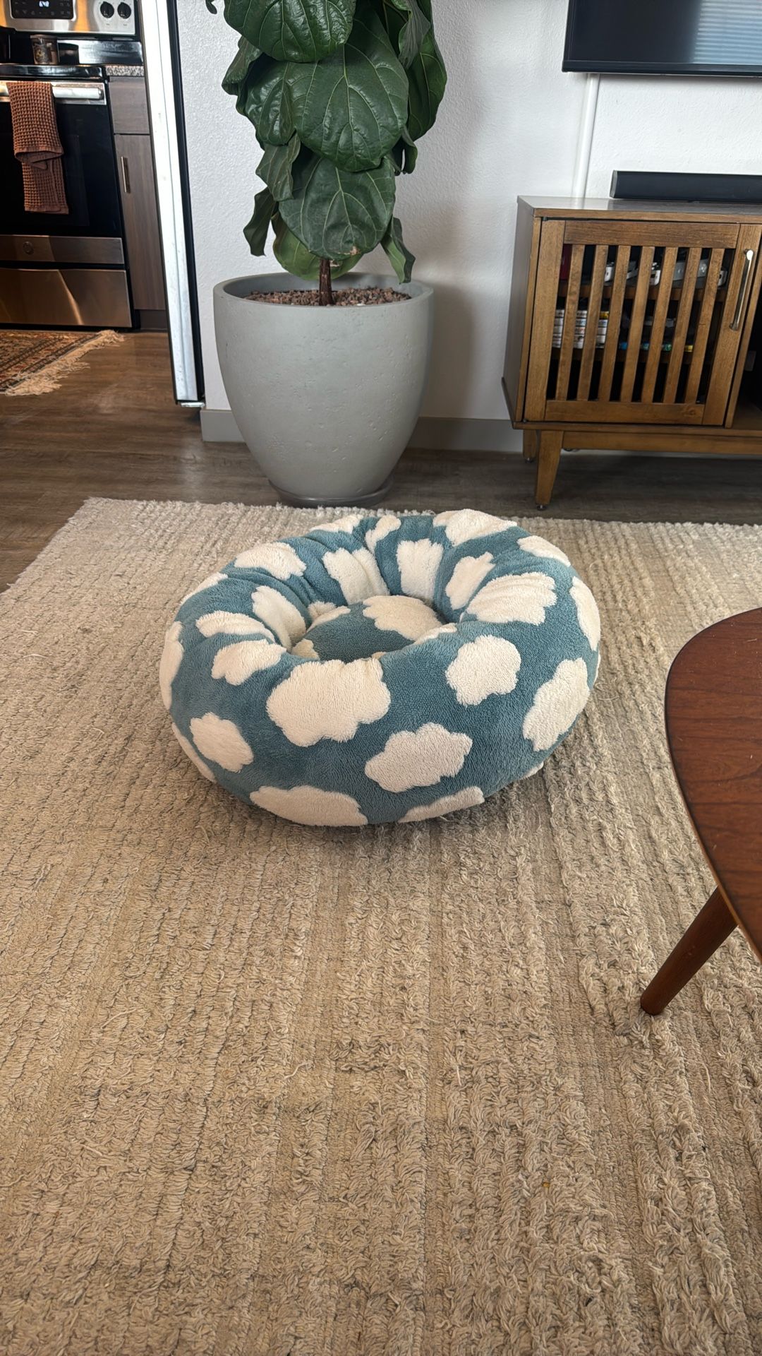Cat Bed (Brand New)