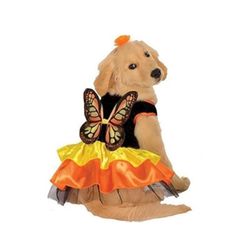 Pet Costume for Halloween Size Medium NEW.

Pls swipe photos to see measurements