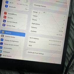 iPad mini 