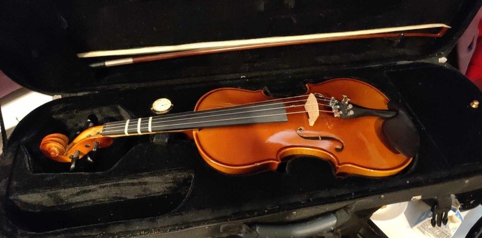 Pantinj  Italian Violin