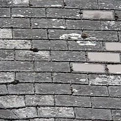 Roof Shingles 