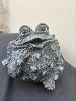 Frog