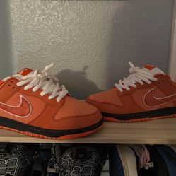 Nike Dunk Orange Lob