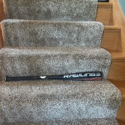 Rawlings prodigy bat