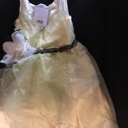 Complete Princess Tiana Dress Set