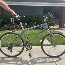 Two Bikes (1 Adult + 1 Child)