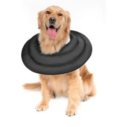 XL Soft Dog Post Surgical Protective Cone