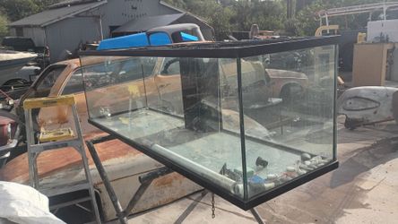 Fish tank 200 gallons