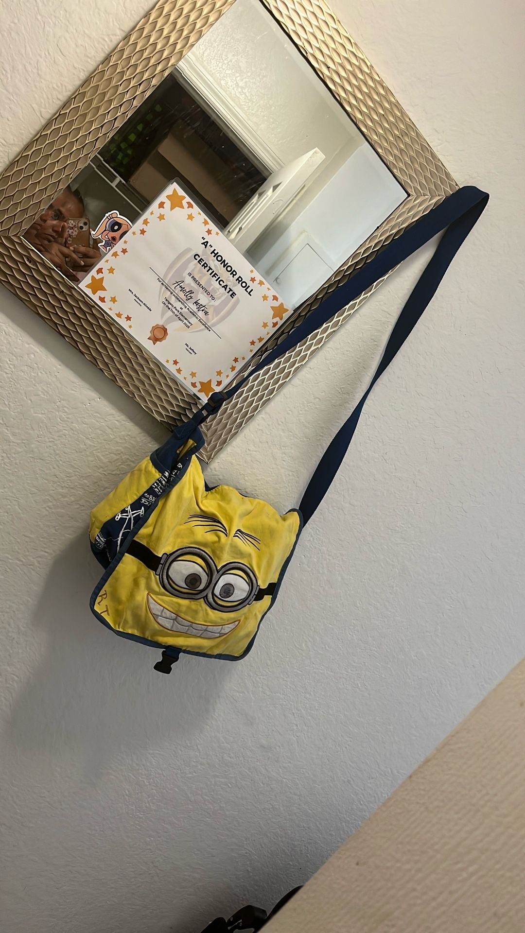 Minion Bag