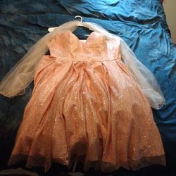 Formal Dress 3xl Blushing Pink