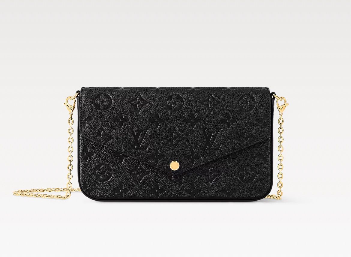 brand new louis vuttion bag