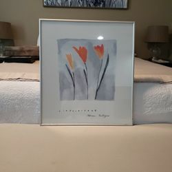 Tulip Framed Print 