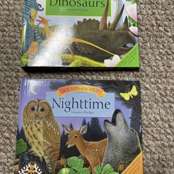 Kids books with sound 2 of them used in Avery good condition, batteries are not included uses 4 of 1.5V 