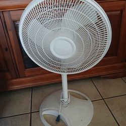 Fan