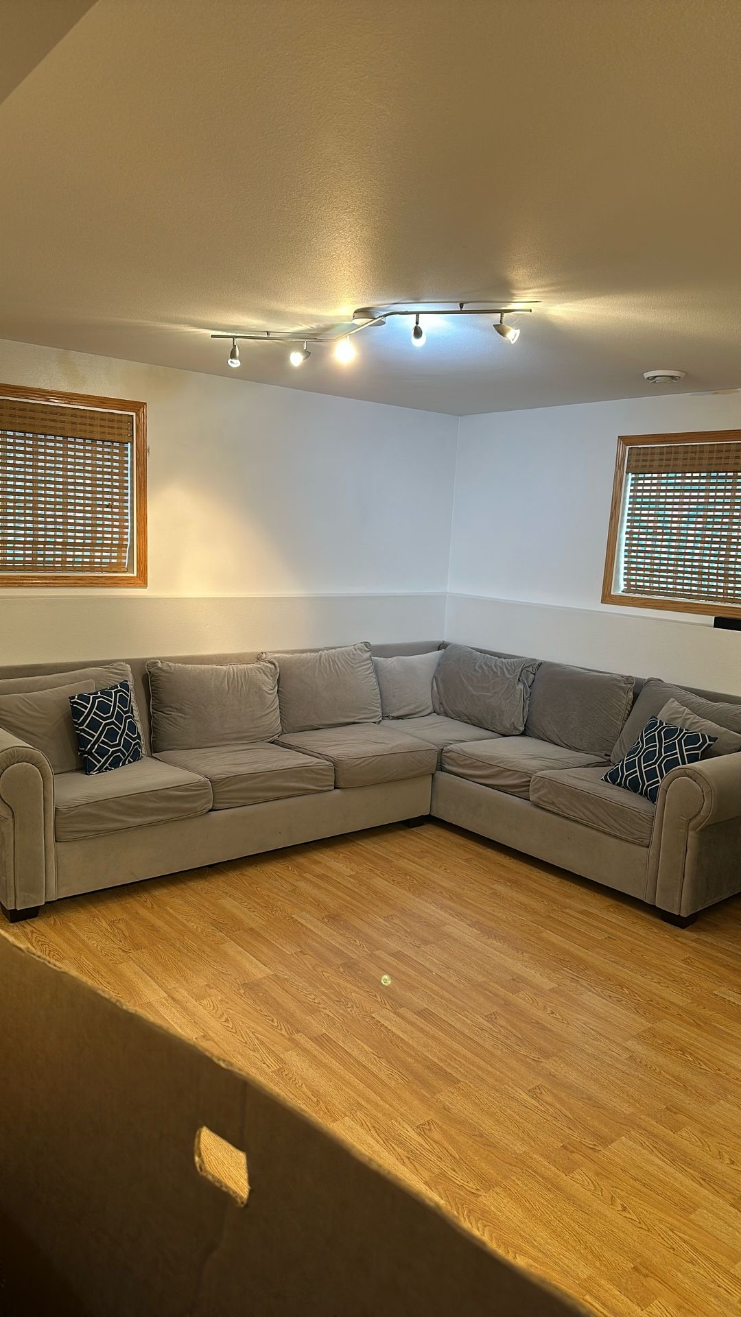 Sectional Couch