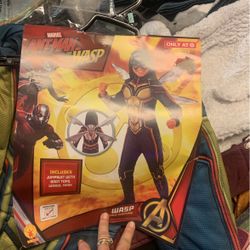 Ant Man Wasp Costume