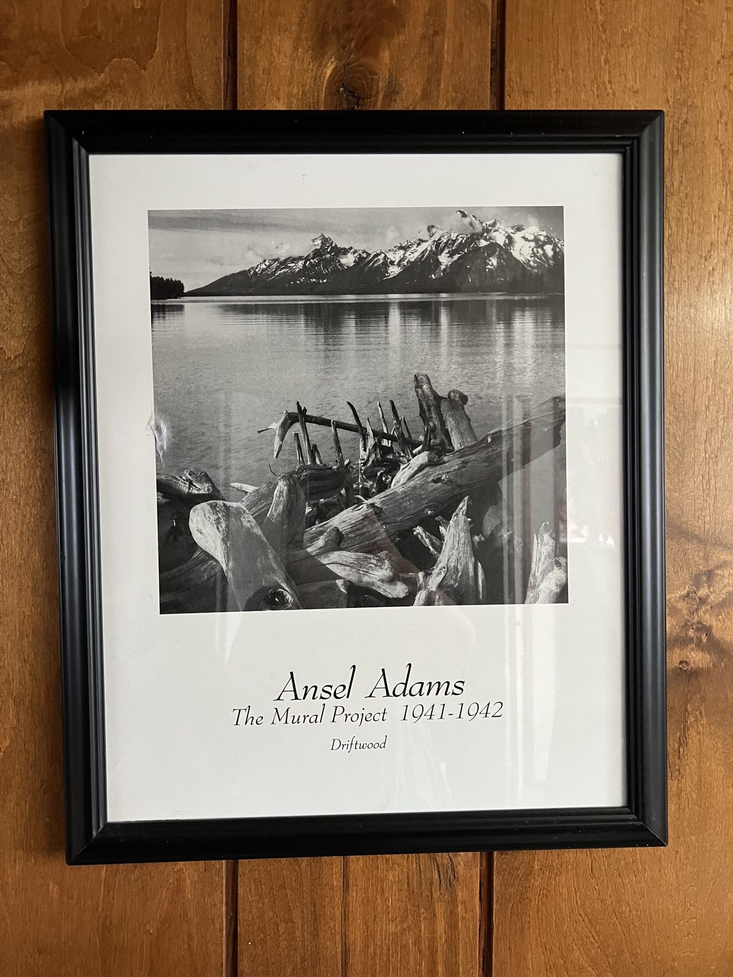 Ansel Adams - Driftwood