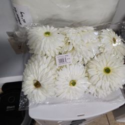 Silk Daisy Flowers