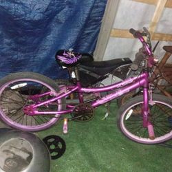 Kids 20 Inch Bike