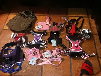 Dog Harnesses