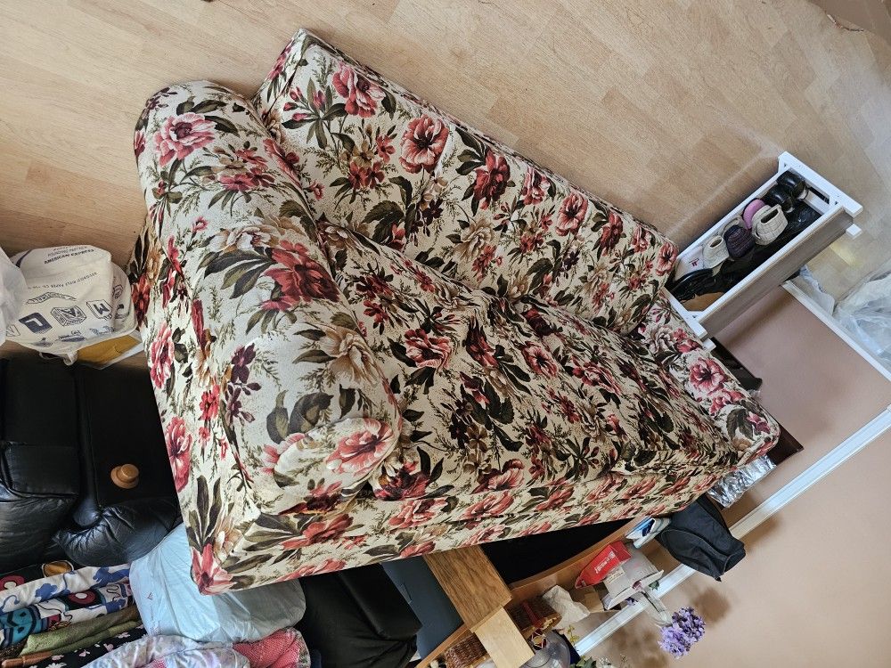 Free Sofa Bed Couch