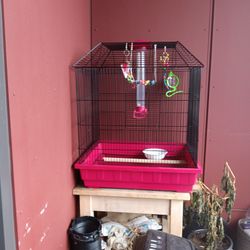 Bird Cage