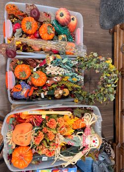 Fall flowers for Crafts