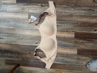 Women’s Bra
