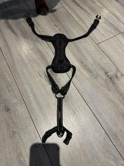 Puppy Small Dog Collar Harness