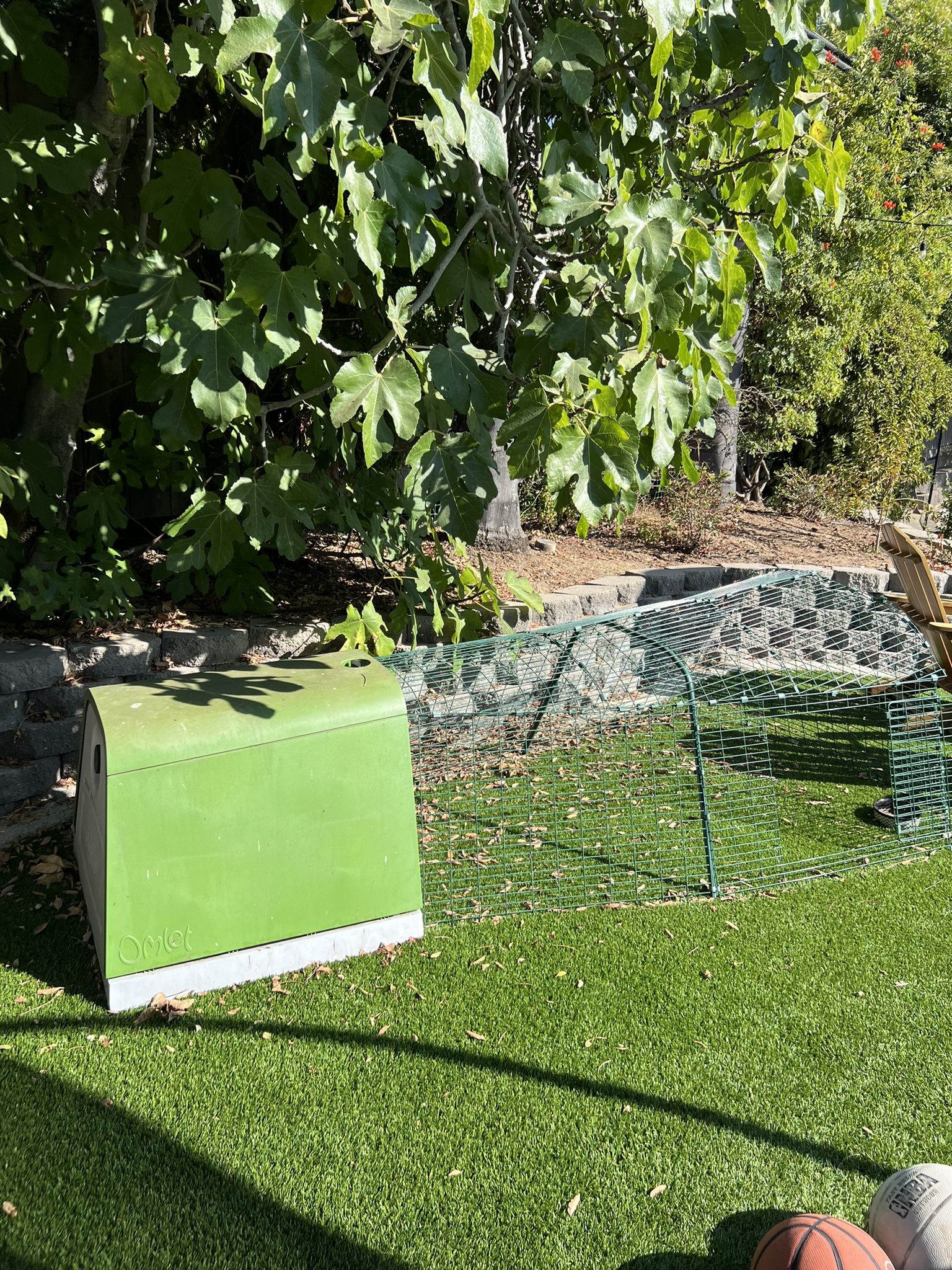 Eglu Go Chicken Coop With 6 Ft Run
