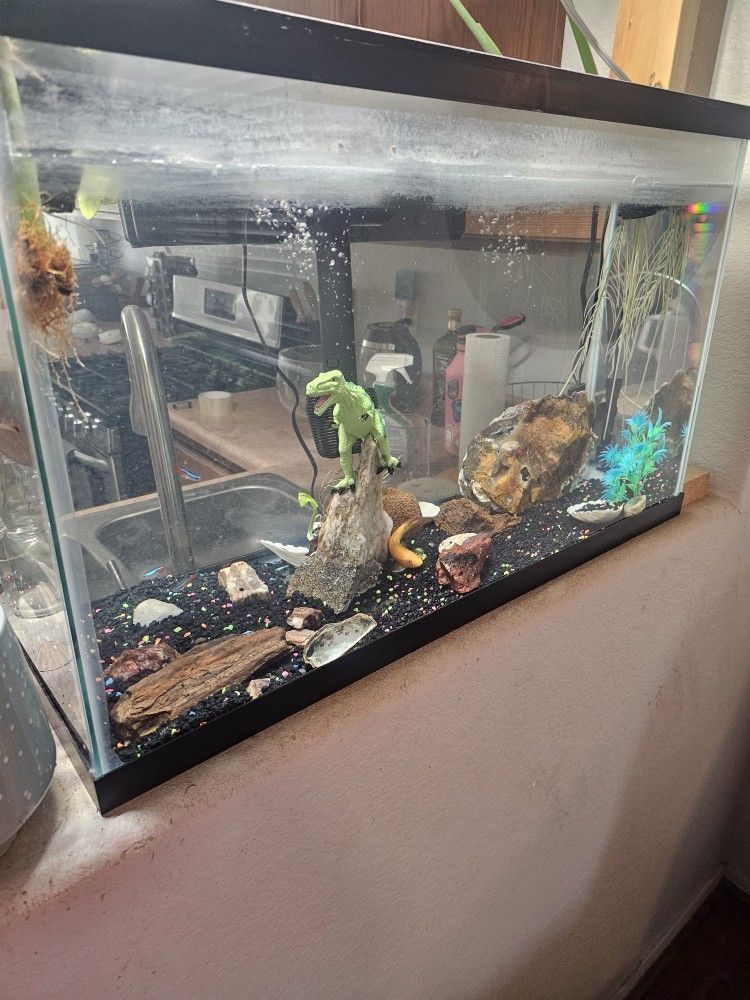 Fish Tank