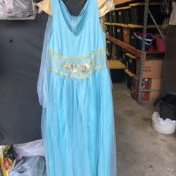 Asian Princess Blue Dress